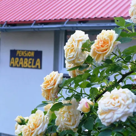 Arabela فندق مبيت وإفطار 3*
