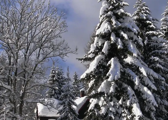 Arabela Bed and Breakfast Harrachov