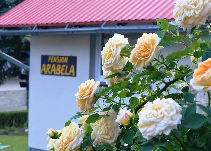 Arabela Bed and Breakfast 3*